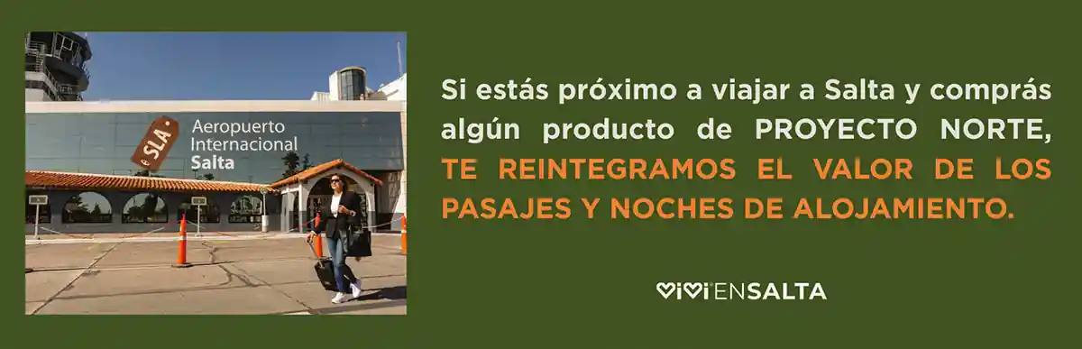 BANNER-PROMO-WEB-VIVI-SALTA-MDE